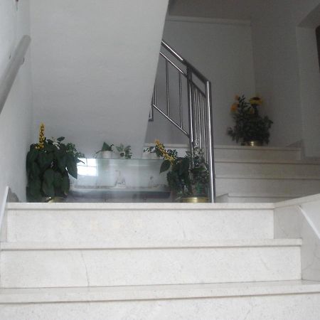 Apartments Ivanka ซาดาร์ ภายนอก รูปภาพ