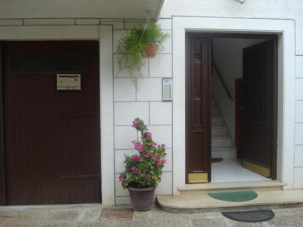 Apartments Ivanka ซาดาร์ ภายนอก รูปภาพ